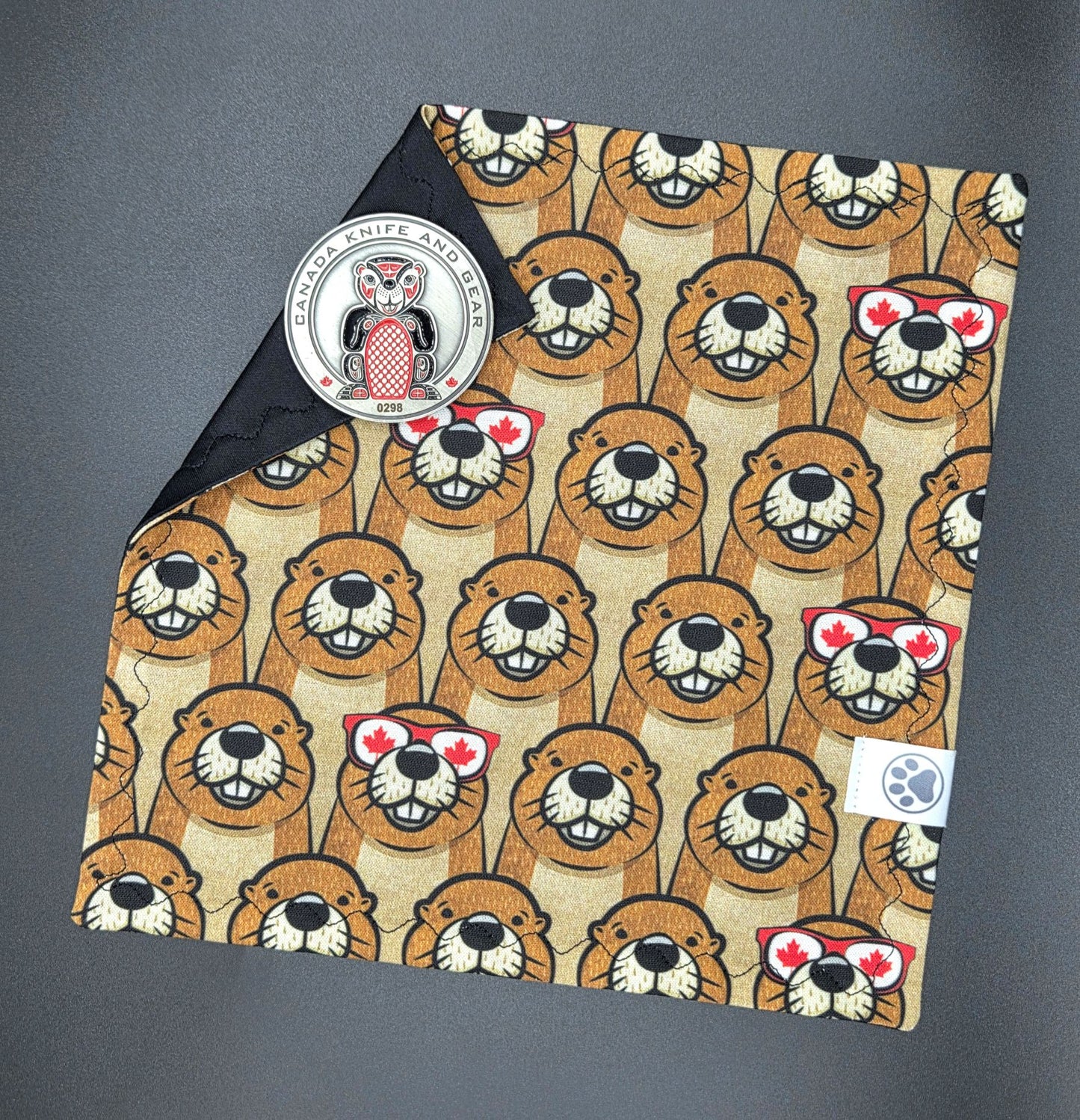Cool Beavers