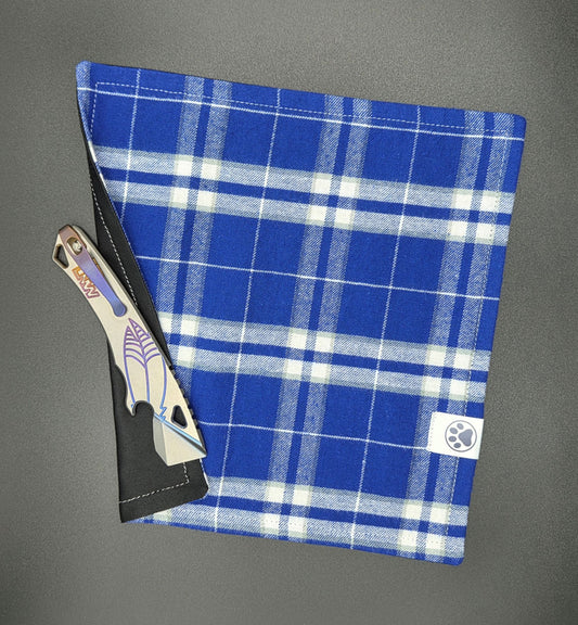 Blue & White Plaid